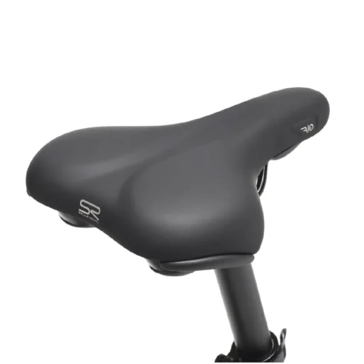 BEEQ  C500 Urban Low Step Ltd Edition