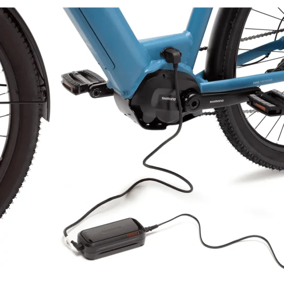 BEEQ  E850 Trekking