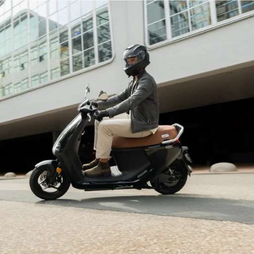 Segway eScooter E250S