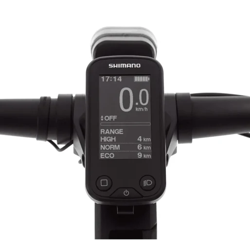 BEEQ  E850 Trekking Low Step