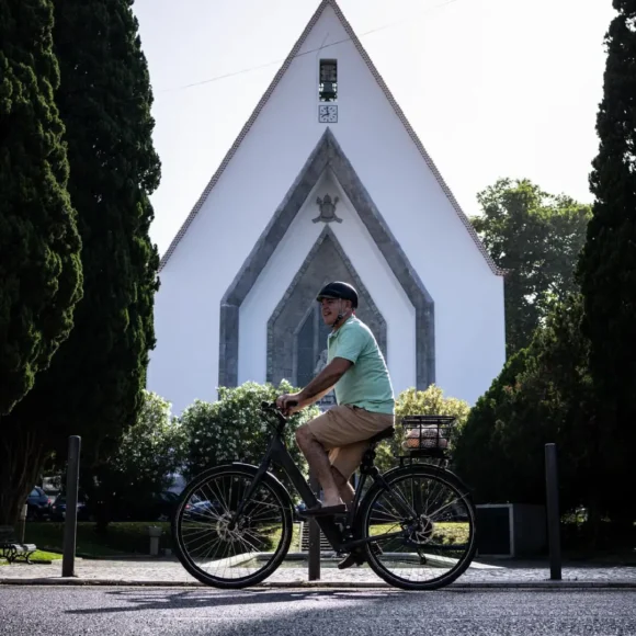 BEEQ  B400 Urban Low Step