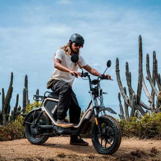 DEMOP – Bee Minitrail