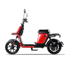 BEE s1