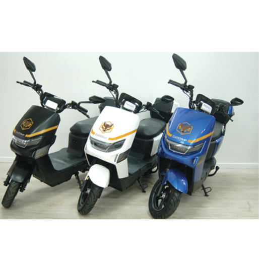 Demop Fox – CHUMBO