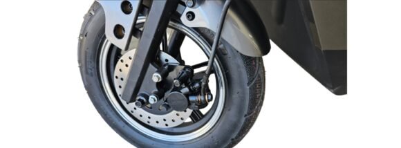 Demop Fox – CHUMBO