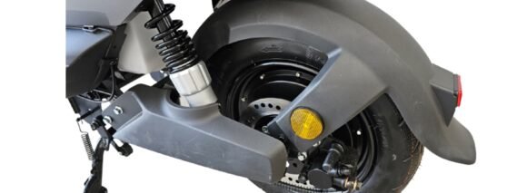 Demop Fox – CHUMBO