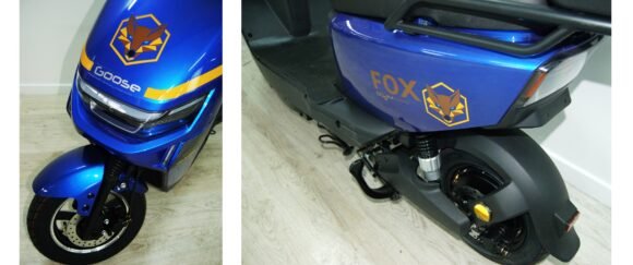 Demop Fox – CHUMBO