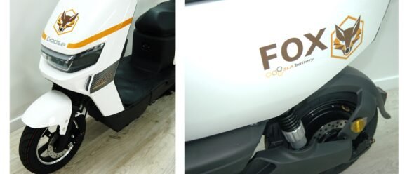 Demop Fox – CHUMBO