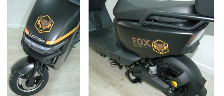 Demop Fox – CHUMBO